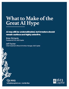1623 Capital Q3 2023 Whitepaper_What to Make of the Great AI Hype copy-1