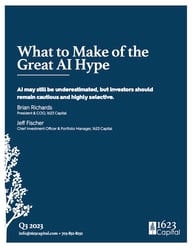 What to Make of the Great AI Hype