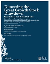 Dissecting the Great Growth Stock  Drawdown: Under the Hood of a Dot-Com-Like Decline